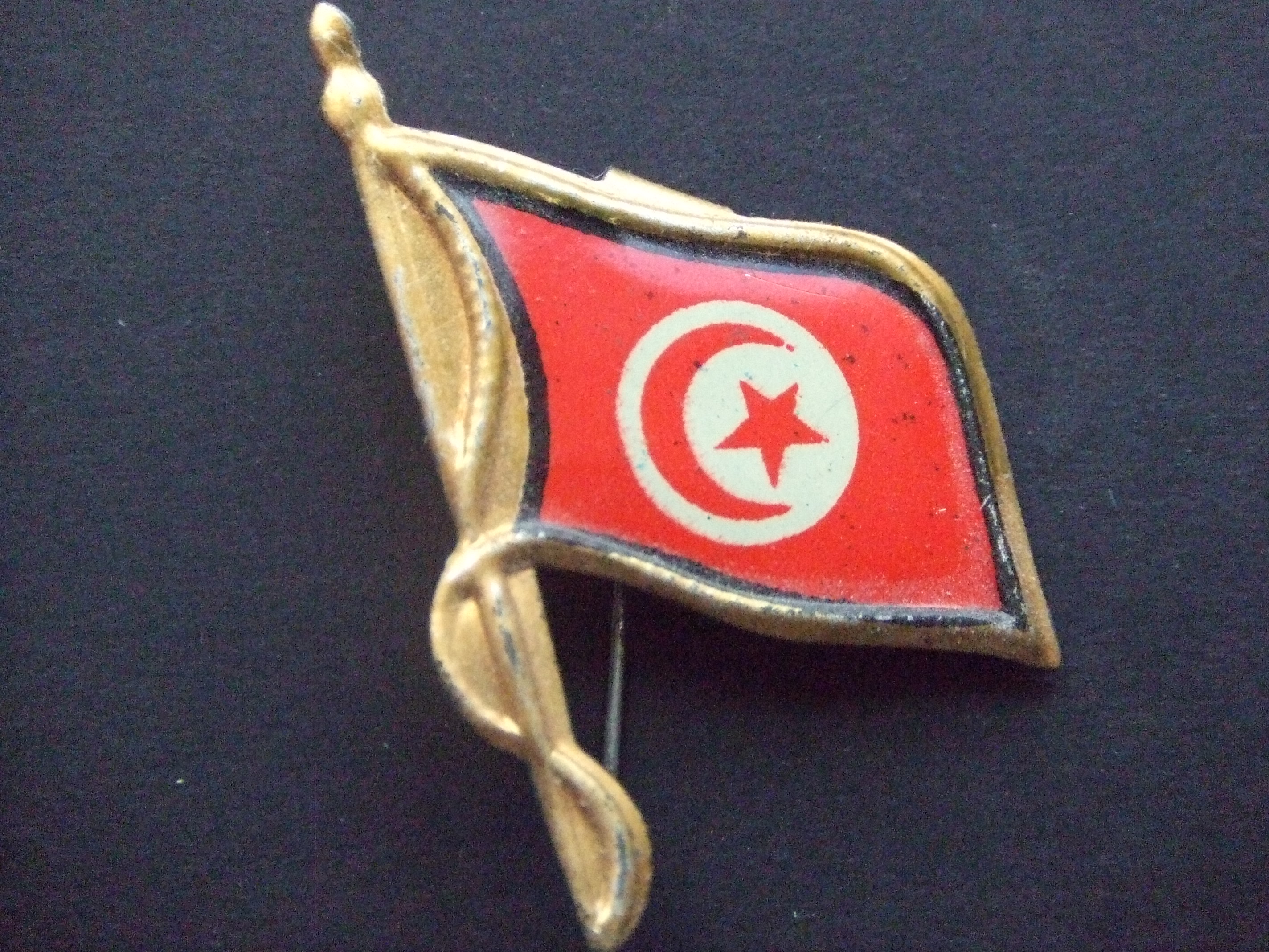 Vlag Tunesië ( Noord-Afrika )behoort tot de Maghreblanden, waartoe ook Marokko, Mauritanië, Algerije en Libië worden gerekend